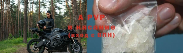 твердый Арсеньев