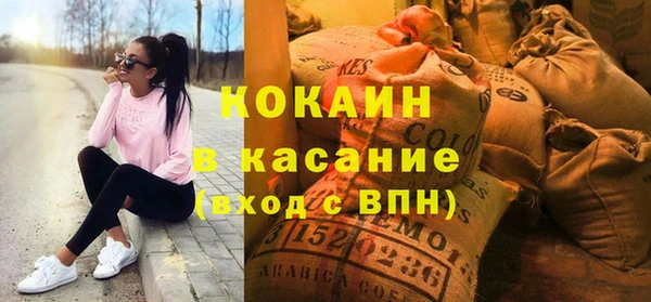 твердый Арсеньев