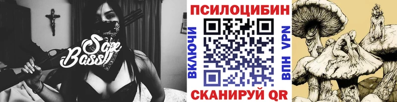 Псилоцибиновые грибы Cubensis  Купить закладки  Будённовск 